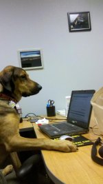 2012-05-04_13-35-56_189.jpg