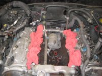 IMG_0121.jpg