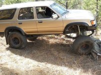 AA-Tall one on trail 4.jpg
