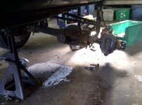 IMG-20110817-00011.jpg