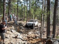 AA-Tall one on trail 5.jpg