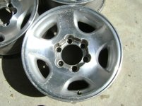 DSC07516.jpg