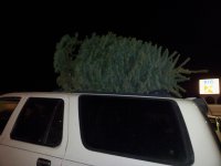 christmas tree 4runner.jpg