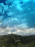 IMG_1055.jpg