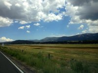 IMG_1076.jpg
