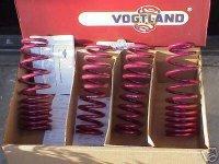 Vogtland Springs.jpg