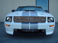 DSC00310.jpg