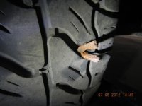 nail 1g.JPG