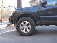 Fall 2011 027-small.jpg