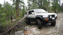 SierraWheeling105.jpg