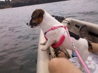 IMG_20110807_130147.jpg