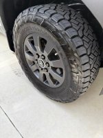 IMG_2817.jpeg