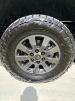 IMG_2815.jpeg