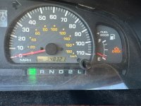 IMG_2331.jpeg