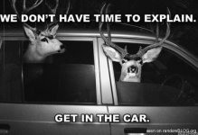 No-time-to-explain.jpg