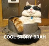 cool-story.jpg