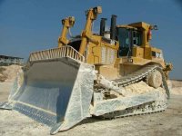AA-Cat D10.jpg