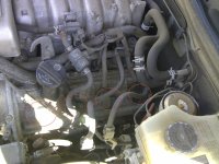 engine_from_drivers_side_2.jpg