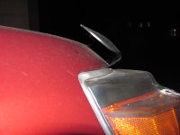 IMG_0560.JPG