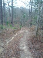 IMG_20120218_102413.jpg
