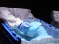 blue-crystal.jpg