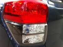 IMG_0900[1].jpg
