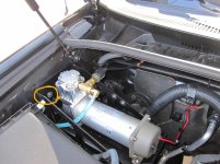 IMG_5546mod.jpg