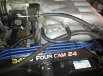 IMG_20120220_170138.jpg
