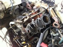 3cf9f75eseals.jpg