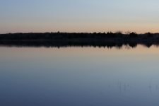 DSC01480.jpg