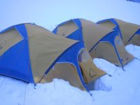IMG_0208.jpg