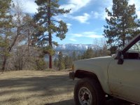 IMG_20120312_155530.jpg