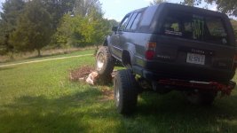 flexing in the yard.jpeg