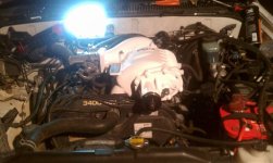 2nd Gen going in.jpg 2nd Gen going in.jpg