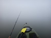 033.JPG