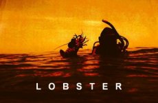 scan0002LOBSpix.jpg