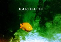 garibaldi1pix.jpg
