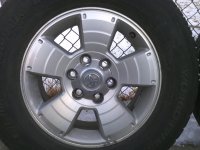 IMG_20120102_155601.jpg
