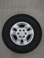Copy of P8180063.JPG