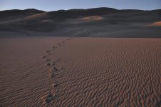 DSC_1120.jpg