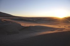 DSC_1126.jpg
