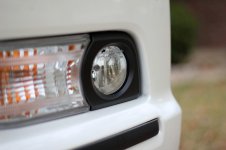 IMG_2238_fogclose.jpg