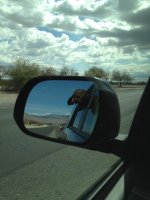 IMG_0547.jpg