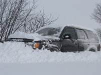 IMG_2721.jpg