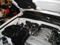 underhood.jpg