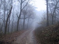 foggy-mountain-road-2.jpg