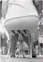 puppie.jpg