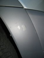 pic1.jpg