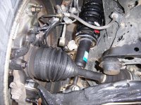 picture 5.jpg
