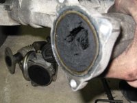 carbon exhaust.jpg
